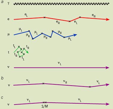 Why Do Neutrinos Only Spin Left